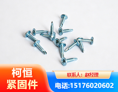 南通华司钻尾丝